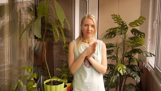 Неделя "Зоркие Глазки" смотреть онлайн