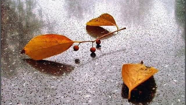 Стихи Д Ч 2 смотреть онлайн