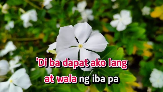 MISS KITA - J Brothers | KARAOKE HD смотреть онлайн