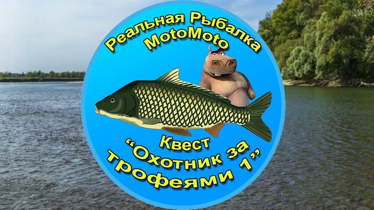 Квест 