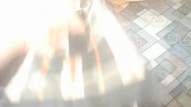 ТОЙ ТЕРЬЕР КОНОР ПЕРЕЕЗЖАЕТ В КРАСНОДАРСКИЙ КРАЙ. смотреть онлайн