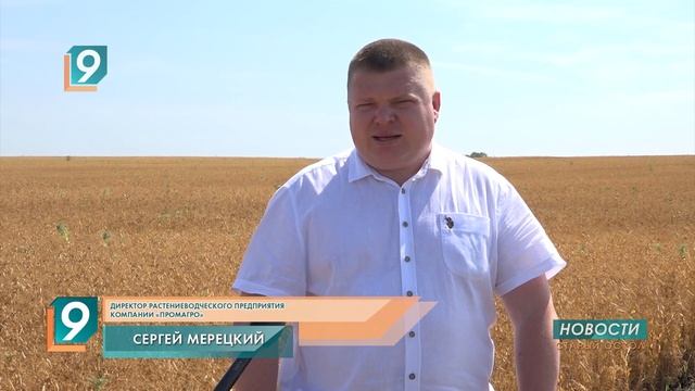 На полях Старооскольского городского округа вовсю идет уборка зерновых и зернобобовых смотреть онлайн