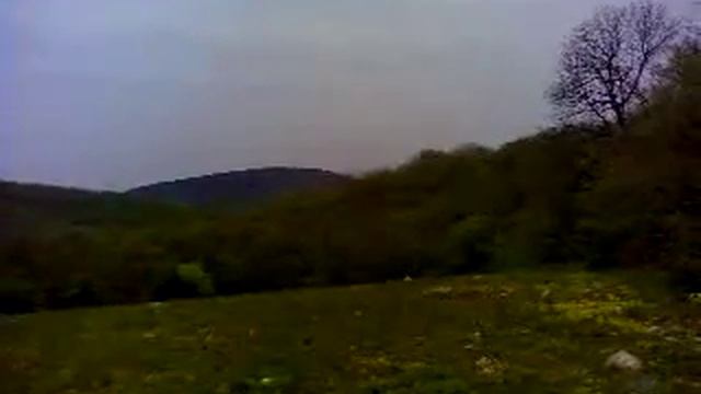 Море пионов. Кокия-бель. смотреть онлайн