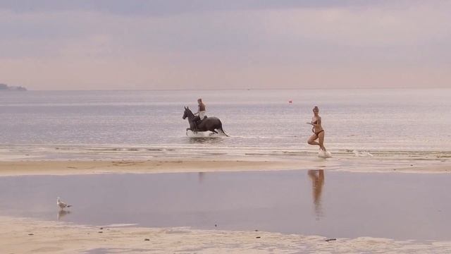 Милый городок Сестрорецк смотреть онлайн