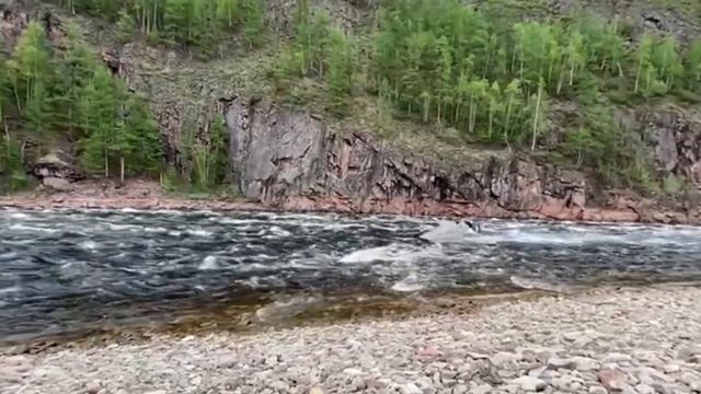 Мелководная каменистая река на аэролодке Роза ветров / Обзор лучшей аэролодки по отзывам владельцев смотреть онлайн