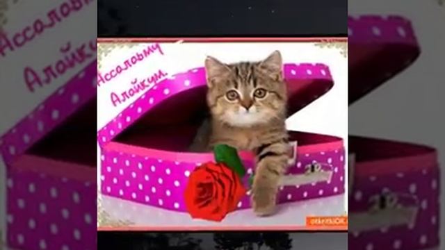 С праздником пятница ( чумъа Муборак)