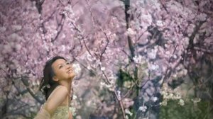 Анна Герман Весна