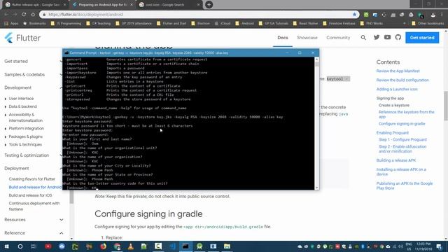 How to Release Flutter App Preparing for Google Play Store смотреть онлайн