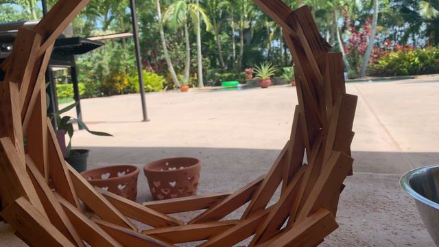 Repotting Orchids, Oncidiums and Catasetums, Summer 2019 DIY Orchid Project смотреть онлайн