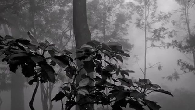 City Theme Vanessa Mae смотреть онлайн