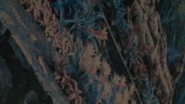 Предложил Samsung начать производство полноразмерные карт памяти SD смотреть онлайн