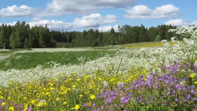 Не оправдывай себя и устоишь в испытаниях. Игумен Никон(Воробьев).. смотреть онлайн
