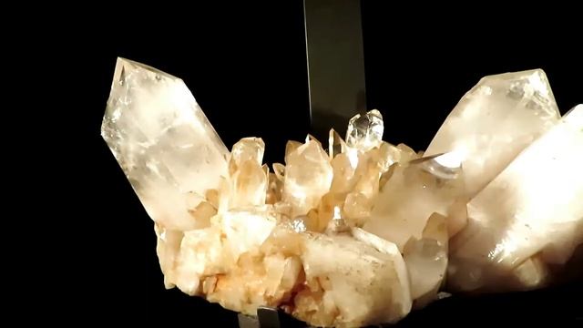 Night At The Museum! Exploring The Natural History Museum In New York City смотреть онлайн