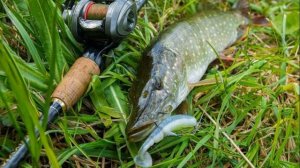 ? КАК ПОЙМАТЬ ЩУКУ ? СОВЕТЫ НАЧИНАЮЩИМ.