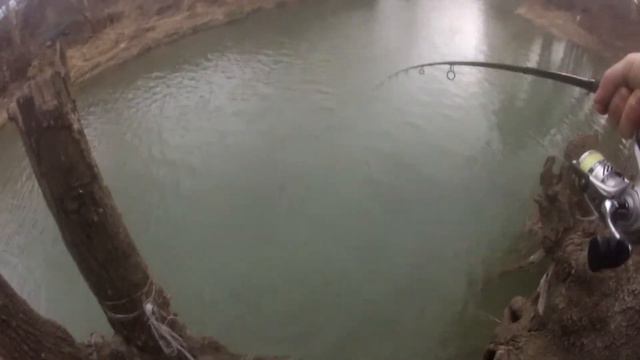 Ловля форели зимой на реке. Поплавок. Сошла рыбка. смотреть онлайн