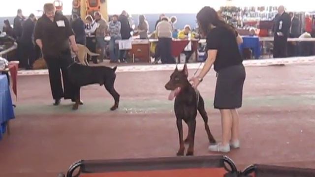 кобели рабочий класс, Донецк, 1й день ч.2 смотреть онлайн