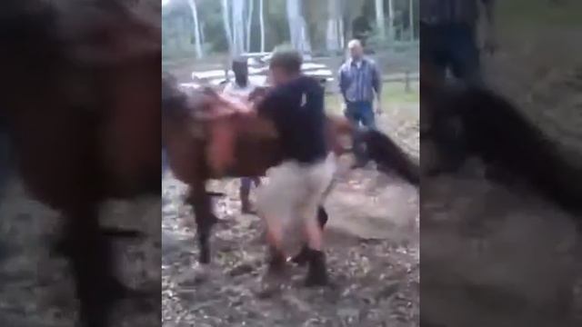 Учимся прыгать на лашадку ;)) смотреть онлайн