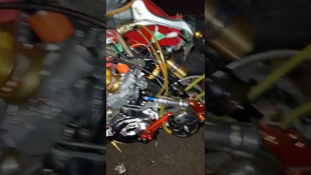 Honda spree смотреть онлайн