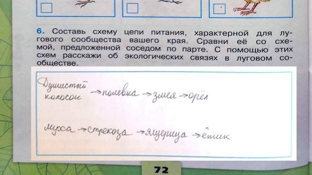 Окружающий мир. Рабочая тетрадь 4 класс 1 часть. ГДЗ стр. 72 №6 смотреть онлайн