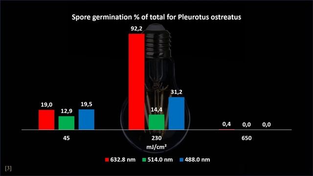 How Light Will Influence The Spore Germination Of Your Mushroom