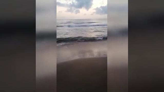 Притча "Морские звезды" смотреть онлайн