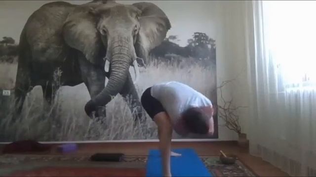 Йога для начинающих видео урок 1 смотреть онлайн