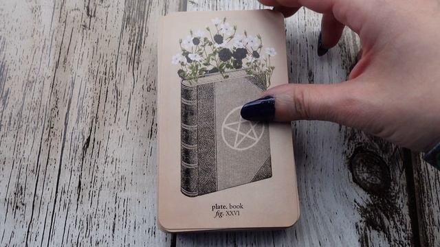 Memento Mori Lenormand and Oracle Deck 2nd Edition by Claire Goodchild - Flip Through 4K смотреть онлайн