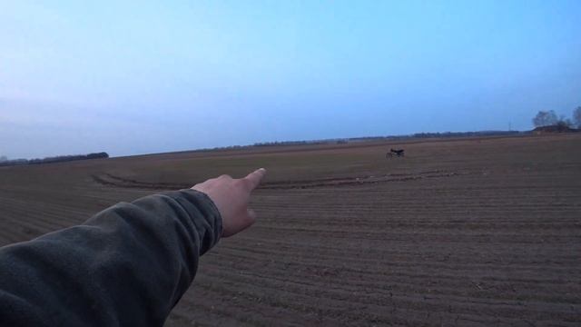 Озимая пшеница после КАС-32 смотреть онлайн