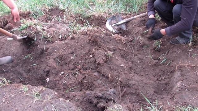 Раскопки на месте старой кузницы - отбил металлоискатель за 3 часа смотреть онлайн