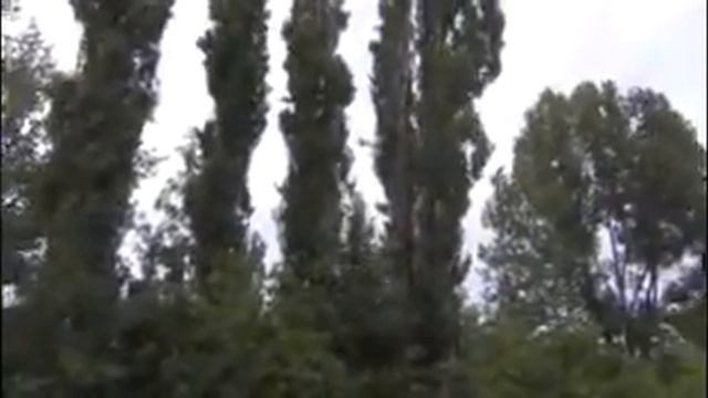 гул смотреть онлайн