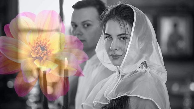 ГЕННАДИЙ АЛЕКСАНДРОВ "ПРОШУ ПРОЩЕНИЯ У ВСЕХ" смотреть онлайн