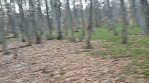 Yamaha Cygnus RS 125  приключения начинаются