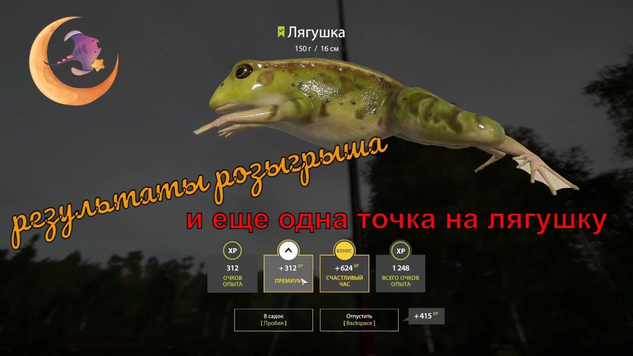 РЕЗУЛЬТАТЫ РОЗЫГРЫША Еще одна точка на лягушку КомариноеНАБЕГ НА ТОЧКУ#rf4#русскаярыбалка4#рр4