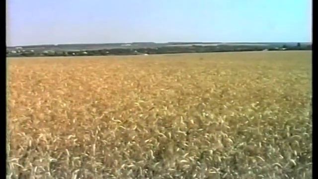 "Камертон душі. Людмила Ніколаєвська (поетеса, журналістка)" смотреть онлайн