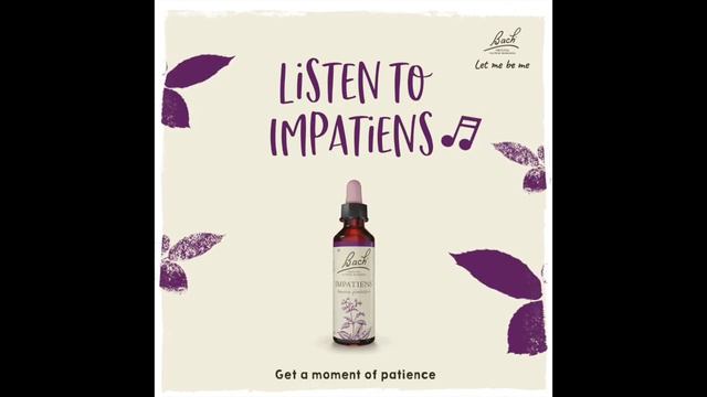 Listen to Bach Original Flower Remedy Impatiens смотреть онлайн