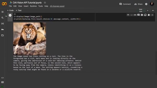 Build an AI Image Captioning App With GPT-4 Vision API in 3 Min смотреть онлайн
