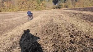 Покатушки на эндуро рейсер пантера 300 gy8 (Погоня от дпс)