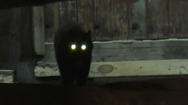 Toyota Cresta JZX 100. Замена шаровой опоры. (#AvtoservisNikitin)