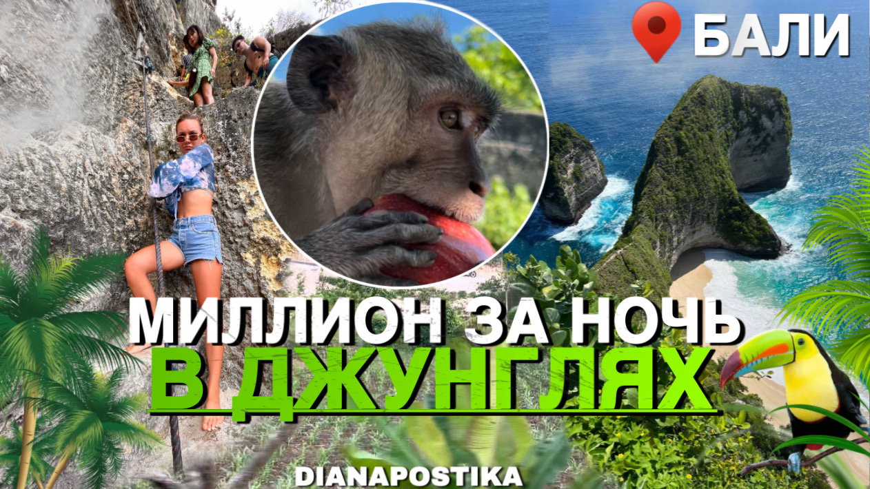 БАЛИ/ Миллион за ночь в джунглях смотреть онлайн