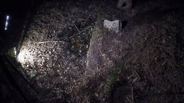 Feeding Frogs LIVE Crawfish! Frog Catch N' Cook