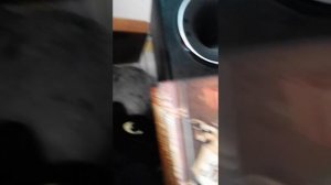 Как подключить муз.центр LG к телефону (AUX)