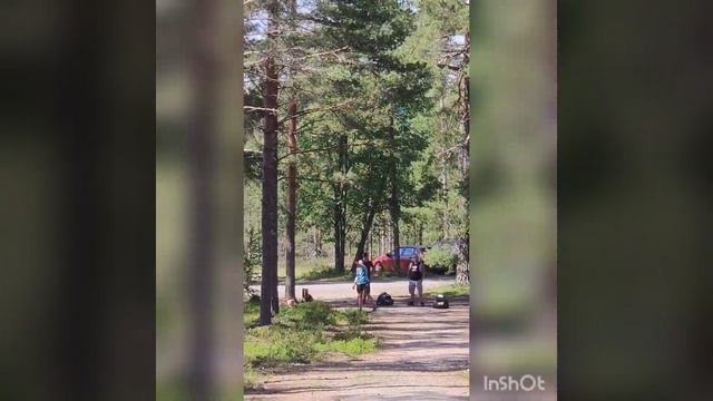 VNT, Skogby kisakierros, Susanna Virtanen смотреть онлайн