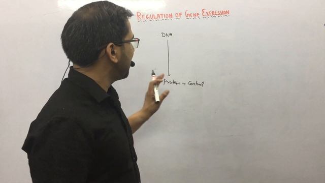 regulation of gene expression смотреть онлайн