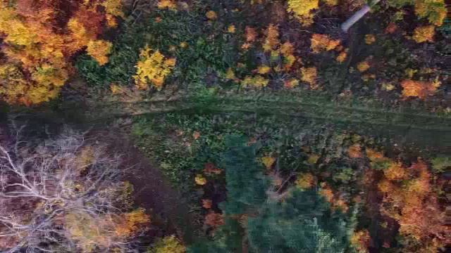 Dj Sasha - Oсень  2024 (vocal -  Larisa , Official Music )