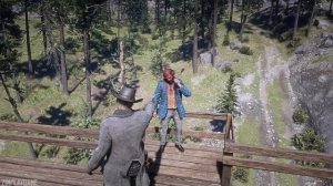 Red Dead Redemption 2 - Slow Motion Brutal Kills Vol 12 (PC 60Fps)