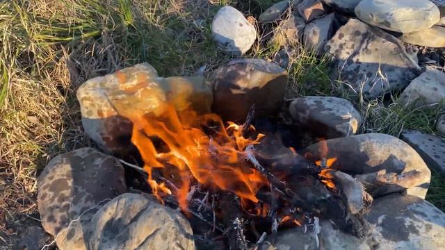 Приготовил гигантскую креветку Розенберга. Giant grilled shrimp. ? смотреть онлайн