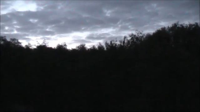 Гон русских гончих смотреть онлайн