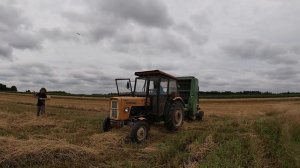 #23| Prasownie słomy ursus c 360 + john deere 550 [Wilki w polu]