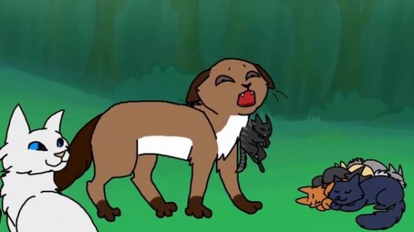 Catwar | Игра глазами новичка и опытного #1