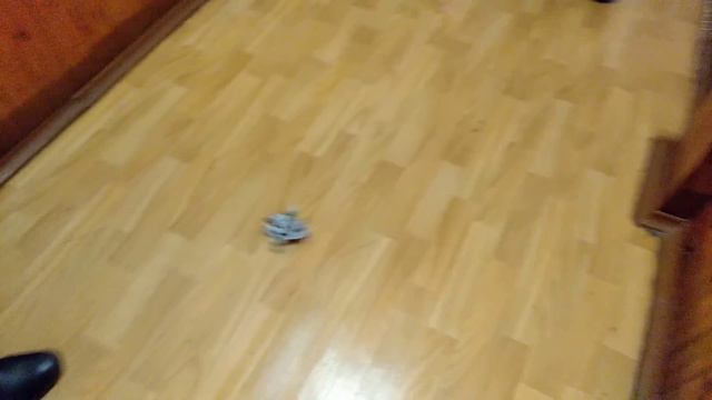 Робот жук управляемый любым пультом смотреть онлайн
